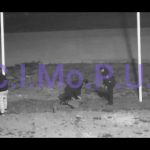 <strong>Las cámaras del CIMoPU permitieron la captura del delincuente juvenil "Monedita"</strong>