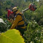<strong>Defensa Civil colabora para mitigar el incendio del Parque Nacional Ciervo de Los Pantanos</strong>