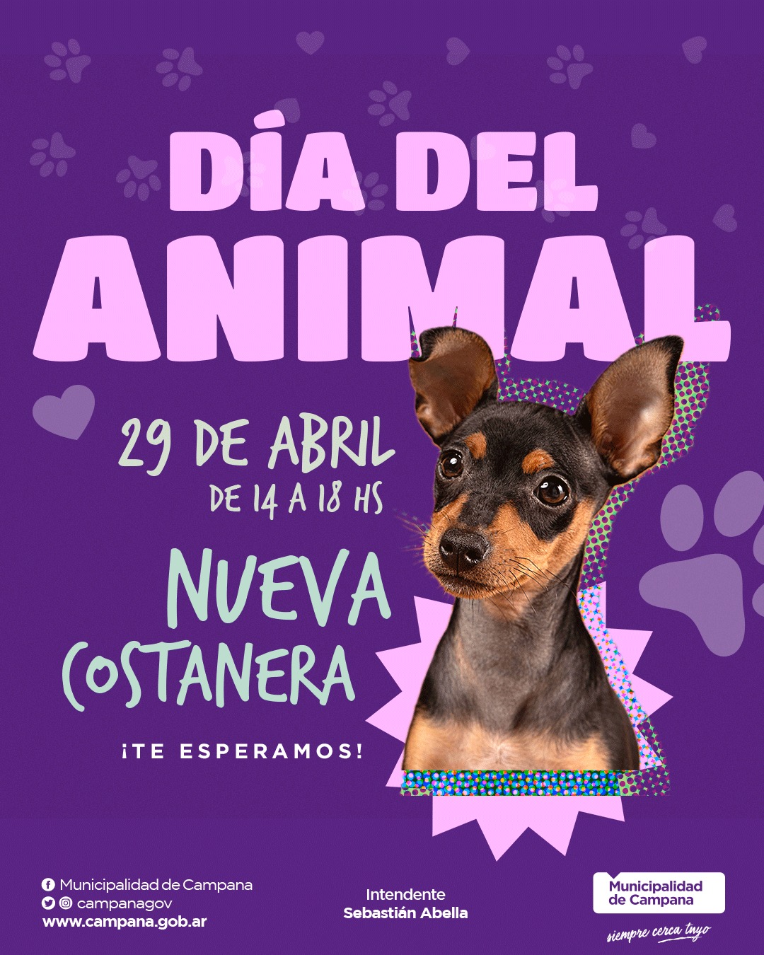 Día del Animal - Desfile de Mascotas