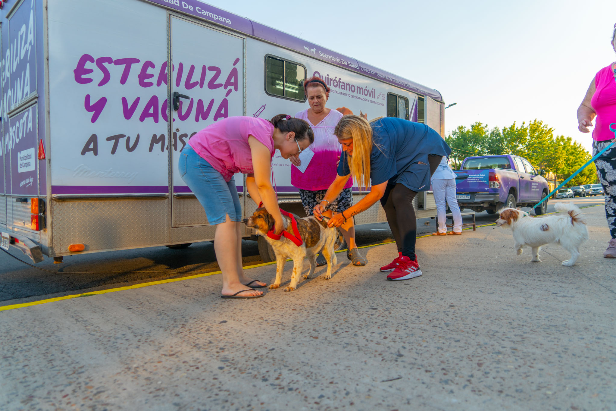 Se vacunarán a perros y gatos contra la rabia en la sociedad de fomento de Santa Lucía