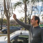 Plan Municipal de Forestación: semana a semana, la ciudad suma nuevos árboles