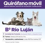 Castraciones gratuitas: el quirófano móvil estará en Río Luján